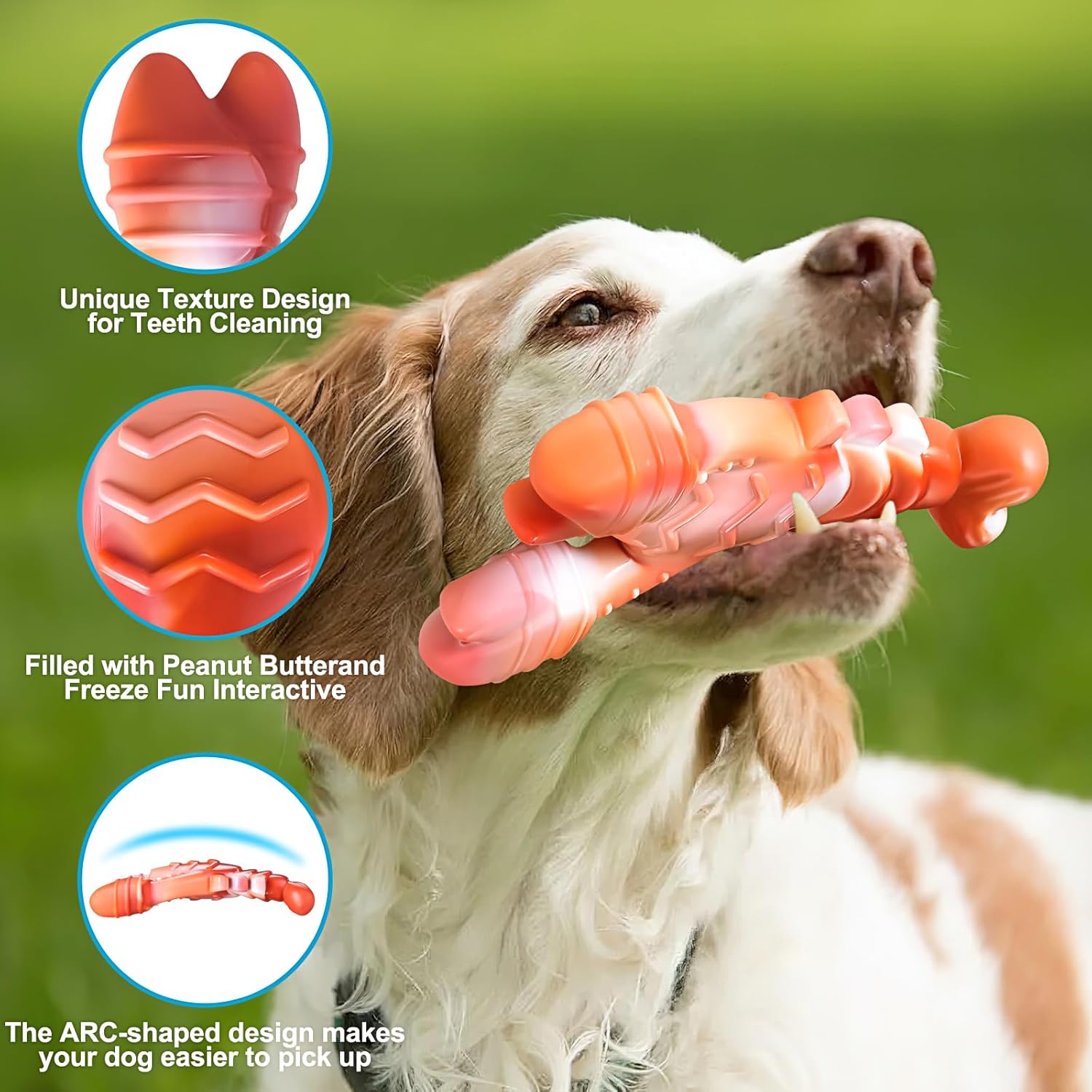 Dog Toys