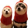 Hotumn Funny Winter Dog Beanie Cap with Pompon – Warm & Adorable Christmas Knit Snood